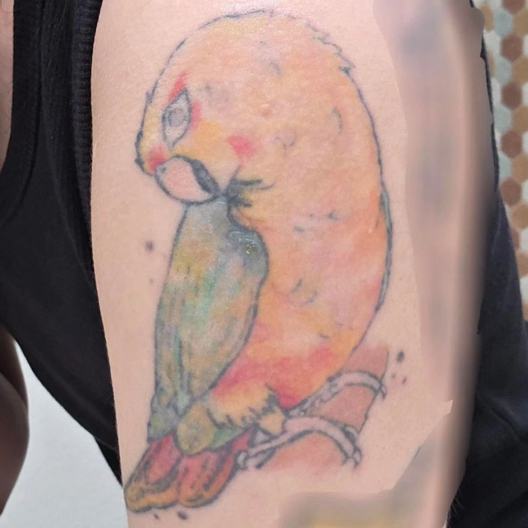 red, orange, yellow, green, teal, purple, brown, pink, white and black tattoo after 1 sessions