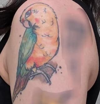 red, orange, yellow, green, teal, purple, brown, pink, white and black tattoo before laser removal